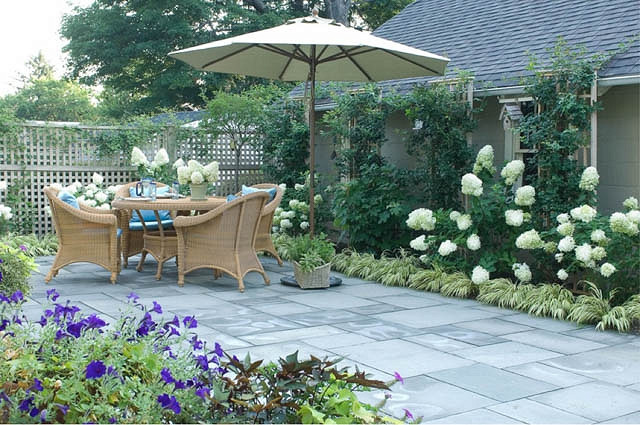 hydrangea landscape ideas